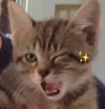 chofixxs