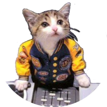 Breakcat11