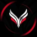 Vinny870