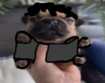 Kick Profile Pic