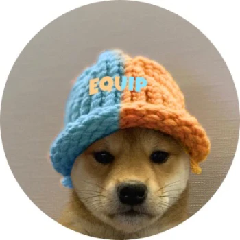 Kick profile picture for @equip