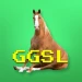 Team_GGSL_USA