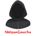 NelzonGaucho