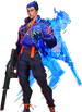 Xynex1