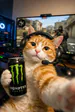 ItsSkywalker