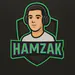 hamzakoroglu