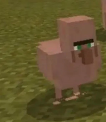 berrotr