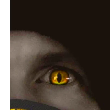 Kick profile picture for @prex