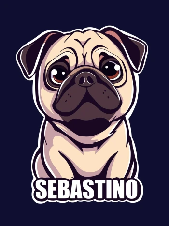 Sebastinoo26