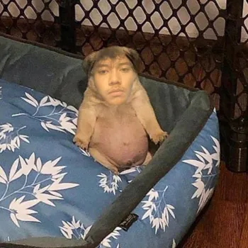 frizapincha