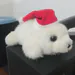 Una_foca_Amable