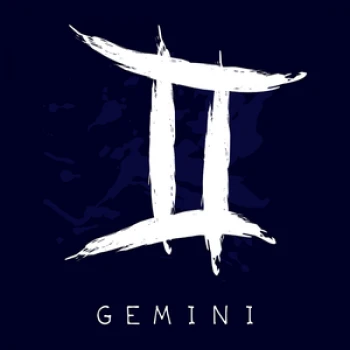 GeminiBro