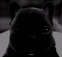 GortyxMan
