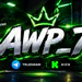 awp-7 statistics