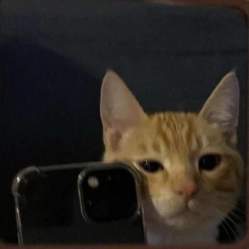 Misillonbby