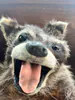 IotaRel