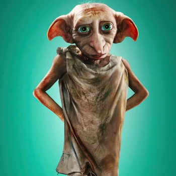 DobbyLudka