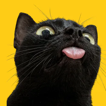 Kat2ura