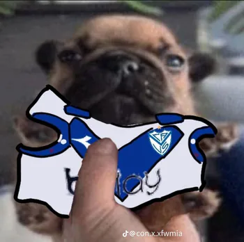 JoaccoCAVS