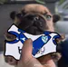 JoaccoCAVS