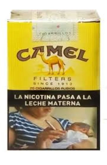 camel_20