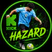 Hazard_30