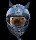 billay22