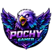 pochy_gamer