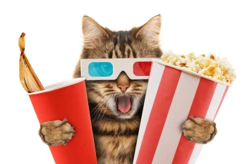 cinemx_tv