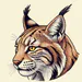 Lince120
