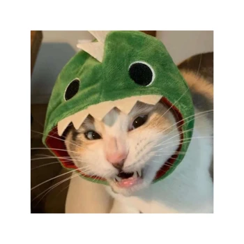 Cattraccoon