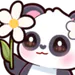 daisyks