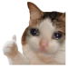 javiliinx