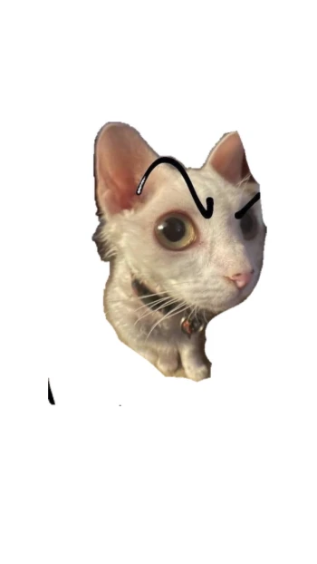 KiskaPoi