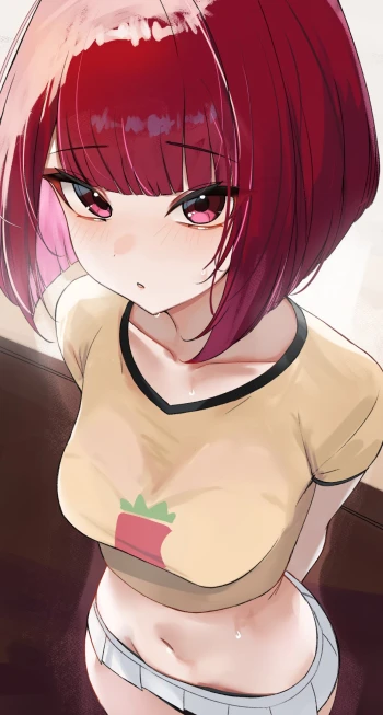 shiroHub