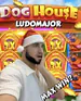 ludomajor avatar