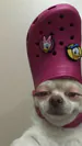 tiremsd