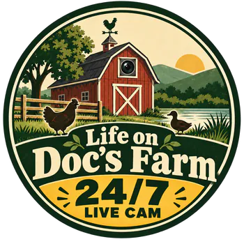 MavisFarmacy