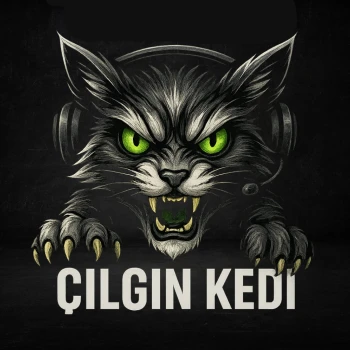CilginKedi7