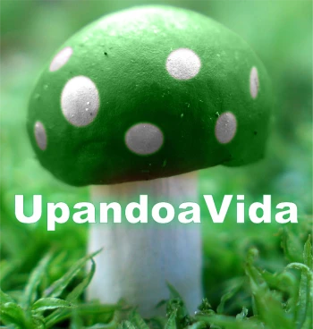 UpandoaVida