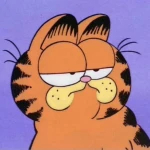 stackgg avatar
