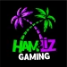 hamandlizgaming