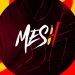 MESHX