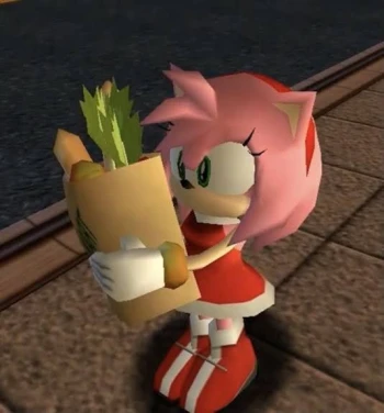AmyRose981