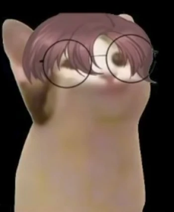 Gatito03
