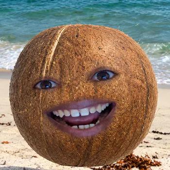 cokiinho