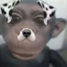 ricardonwn