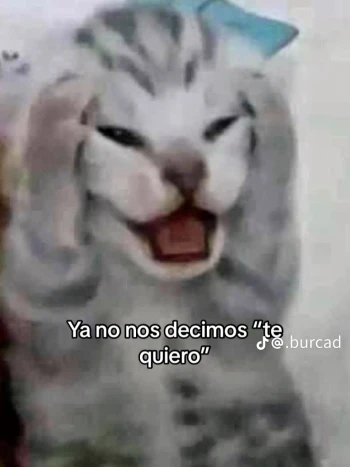 Codixd