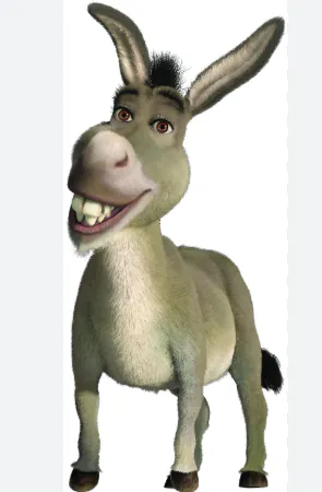 YHANDONKA