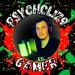 psychol129-gamer